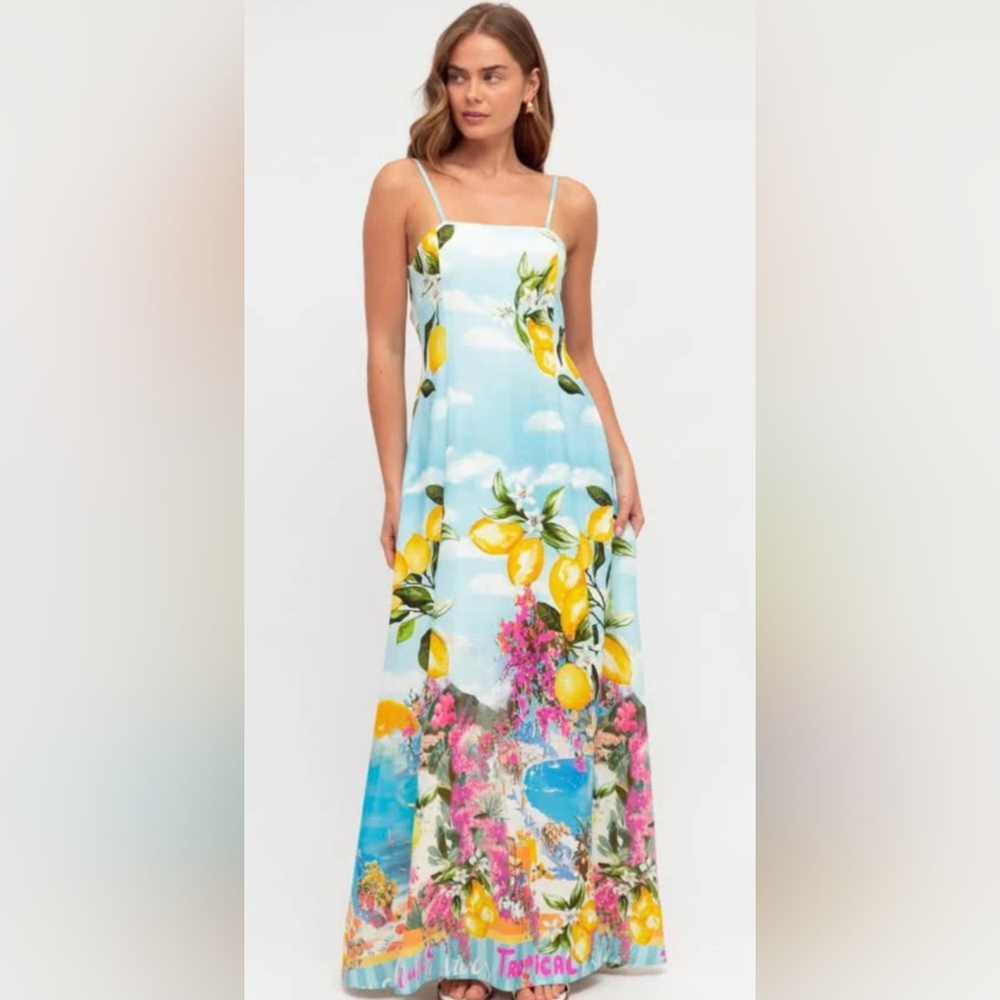 ANTHROPOLOGIE Paper Heart Maxi Dress Limoncello Linen blend XS